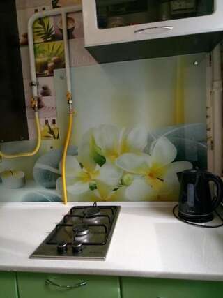 Апартаменты Апартаменты на ул. Петрова Одесса Апартаменты с 1 спальней-31